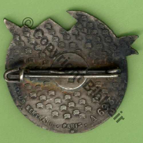 A0693  EALA 3.71  DJELFA  AB.P Bol poinconne Dos Chevrons No homolog sur pourtour avec AB.P Src.Y.GENTY 